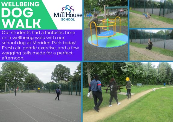 Mill House School Wellbeing Walk