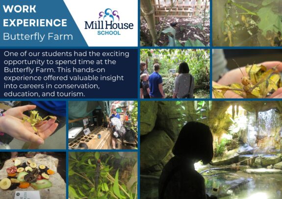 Work-Experience-Visit-Butterfly-Farm