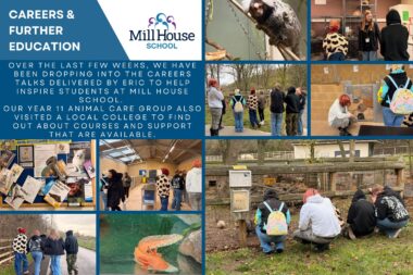 Careers and Further Education2