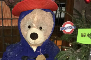 paddington-bear-crop