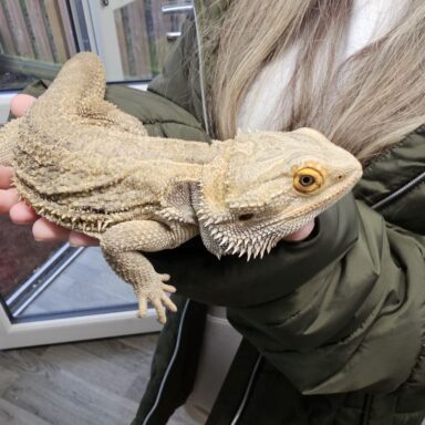 Mill-House-School-Curriculum-4