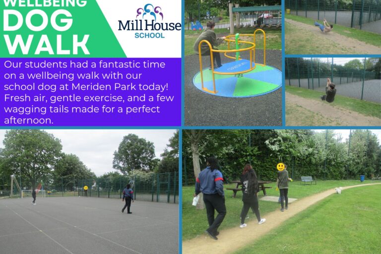 Mill House School Wellbeing Walk