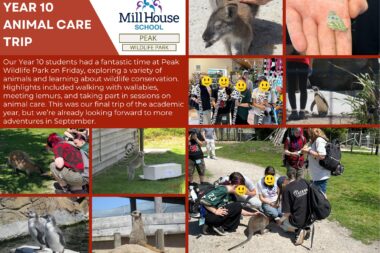Year-10-Animal-Care-Trip