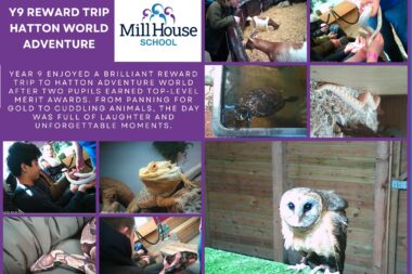 Year 9 Celebrate Merit Success-1 Year 9 Celebrate Merit Success