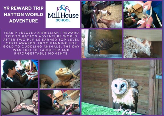 Year 9 Celebrate Merit Success