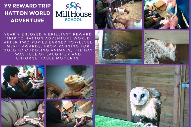 Year 9 Celebrate Merit Success