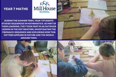 Year 7 Explore the Fibonacci Sequence